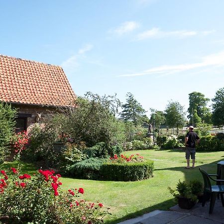 De Vitsemolenhoeve Westouter Szoba fotó
